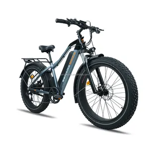 海外仓库一年保修现代铝合金意大利德国750瓦胖轮胎电动自行车自行车