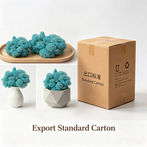 Kit Fai-da-Te per Muschio Eterno con Fiori Veri Essiccati - Terrari Creativi per <span class=keywords><strong>Micro</strong></span> Paesaggi, Decorazioni Artigianali per Interni/Esterni - Product Image 6