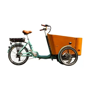 Bakfiets Pedal electric 3 wheel electric family cargo trike bike frame for kids factory price