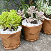 Fournisseur chinois de pots de fleurs en plastique écologiques faits à la main, jardinières de bureau pour la maison, le jardin, le balcon, le centre commercial, pot de plante décoratif