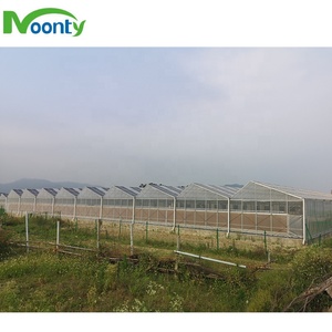 Lớn thủy canh năng lượng mặt trời đa-span nông nghiệp nhà kính cho phát triển Cà Chua Rau diếp dưa chuột dâu tây rau hoa - Product Image 3