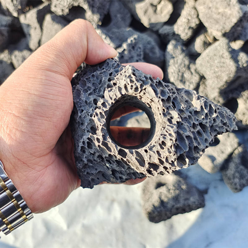 Anneau de plantation de plantes aquatiques