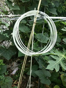 FRP Tomato Grape Climb Support <b>rods</b> /poles Fiberglass reinforced <b>plastic</b> stakes - Product Image 4