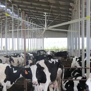 Dairy Cow Farm Greenhouse Chicken House Industrial Ventilation Large Ceiling Hvls Fan 20ft/24ft