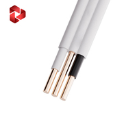 Câble plat NVDAN NM-B Twin Earth, conducteur en cuivre, isolation en PVC, gaine en nylon, tension nominale 0,6/1KV, taille personnalisable pour