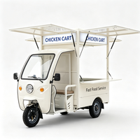 Tricycle Électrique Mobile pour la Restauration 48V 60V, Chariot Alimentaire au Lithium, Apparence Personnalisée pour la Vente de Boissons Fraîches et de Plats de Loisirs