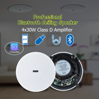 BTF32 Active 30W Haut-parleur de plafond coaxial sans cadre Bluetooth Haut-parleur de plafond principal avec 1 haut-parleur de plafond esclave