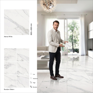 Baldosas de Porcelana Semi Mate Alecia Crema 600x600mm, 8mm, Aspecto de Piedra, Revestimiento Cerámico para Pisos - Product Image 5