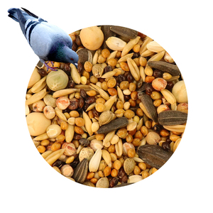Alimentation pour pigeons de course mixte séchée en gros – Direct Usine - Product Image 1