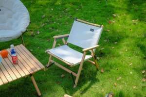 Kermit — chaise pliante avec poignée, fauteuil de Camping, ultraléger, facile à transporter, idéale pour l'extérieur, le Camping, le pique-nique ou le dashiki - Product Image 4