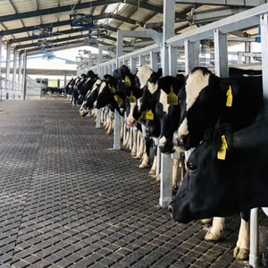 الصينية صديقة للبيئة الأسود تدليك درب الحصان الأرضيات البقر دواسة مطاطية - Product Image 4