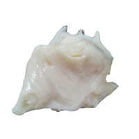 Pelumas Bantalan Mesin Sintetis Penuh PAO Oil