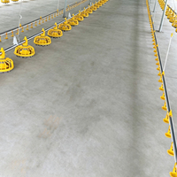 Système d'alimentation automatique pour poulets de chair en poulailler