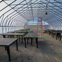 Kit de serre tunnel monopente pré-assemblé, solution facile à installer pour l'extension des cultures saisonnières et l'agriculture à petite échelle