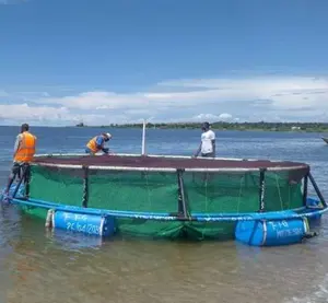 Pabrik Tiongkok pemasok kandang pertanian ikan HDPE untuk peralatan akuakultur mengambang Tilapia