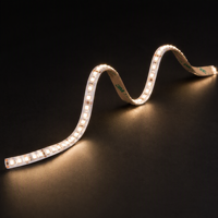 Bande lumineuse LED à densité moyenne 24V 2835 120LEDs/m 900lm/m Lumineuse 3000K Blanc chaud 5mm de largeur IP20 Télécommande Dimmable