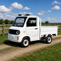 Camionnette électrique à 4 roues, 2 portes, 2 places, mini camionnette électrique, véhicule à énergie nouvelle, camion de fret, vente directe d'usine