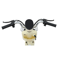 Vélo électrique pour adultes et enfants à livraison rapide avec cadre en fer 48v 12ah batterie moteur de moyeu arrière affichage LED