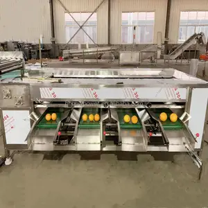 Olijf Sorteermachine Kersentomaat Sorteermachine Vruchten Sorteermachine Voor Ovaal Fruit