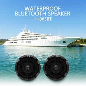 Haut-parleurs de yacht audio en acier inoxydable ABS étanche IP66, pièce à piston de 6,5 pouces pour bateau, moto, piscine, extérieur - Product Image 4