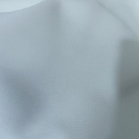 Vente en gros de rideaux transparents modernes blancs unis pour la protection de la vie privée, décoration intérieure d'hôtel et d'appartement
