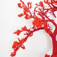 Branche d'arbre artificielle floquée en corail rouge et blanc, fausse branche de Manzanita pour la décoration de Noël, de mariages, d'hôtels et de vases