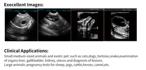 Laptop Pw Echografie Scanner Veterinarylaptop Pw Echografie Scanner Dierenarts - Product Image 4