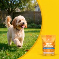 Gubeyka OEM Probiotiques anti-allergie pour chiens et chats avec levure de bière et vitamines pour les démangeaisons cutanées, les problèmes d'oreilles, la léchage des pattes et les allergies saisonnières