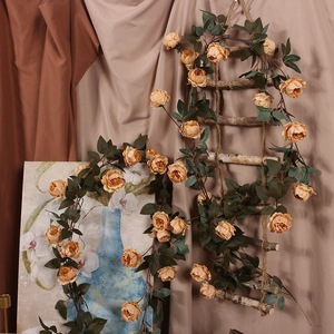 Guirlandes de pivoines artificielles en soie, décoration murale pour l'intérieur de la maison, style Instagram. - Product Image 1