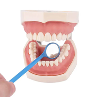 SJ Instrument dentaire jetable, miroirs buccaux d'examen dentaire, plastique buccal coloré, miroir buccal dentaire OEM vente en gros