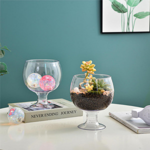 Maceta de Plástico Transparente Mediana Rong An para Flores y Plantas - Product Image 4