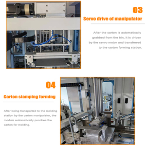 Machine entièrement automatique de fabrication de boîtes à pizza en carton et d'équipement de formage de plateaux - Product Image 6