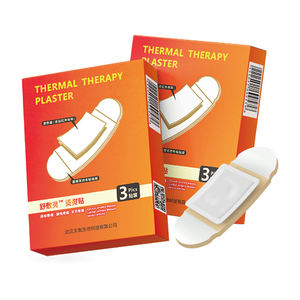 BT Medica 2024 <span class=keywords><strong>Best</strong></span> <span class=keywords><strong>Selling</strong></span> <span class=keywords><strong>Chinese</strong></span> Body Application Medical Plasters <span class=keywords><strong>Hot</strong></span> Trending Product - Product Image 2