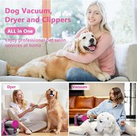 Shenzhen Fabrik Professionelles Geräuscharmes Haustier-Pflegeset Haartrockner Schermaschinen-Set für Katzen und Hunde mit FCC, CE, ROHS