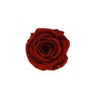 ดอกกุหลาบอมตะ AYOYO OEM จำนวน 24 ดอก ทำด้วยมือ ดอกไม้แห้ง ของขวัญวันวาเลนไทน์ - Product Image 5