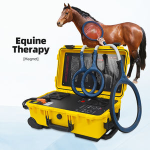 Equine Pemf Physio Magnéto Machine Humain et Chevaux Champ électromagnétique pulsé Pemf Dispositif de thérapie magnétique pour le soulagement de la douleur - Product Image 3