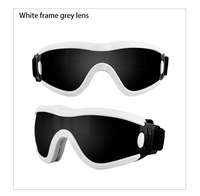 Nouvelles Lunettes de Soleil Sportives pour Chien, Écologiques, Anti-UV, Réglables, en Plastique, pour Cyclisme et Activités de Plein Air, Solides, Hiver