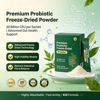 Friandises molles probiotiques pour animaux de compagnie contre la diarrhée, la constipation, les ballonnements, pour soutenir l'appétit et la santé intestinale, supplément pour chiens et chats, OEM