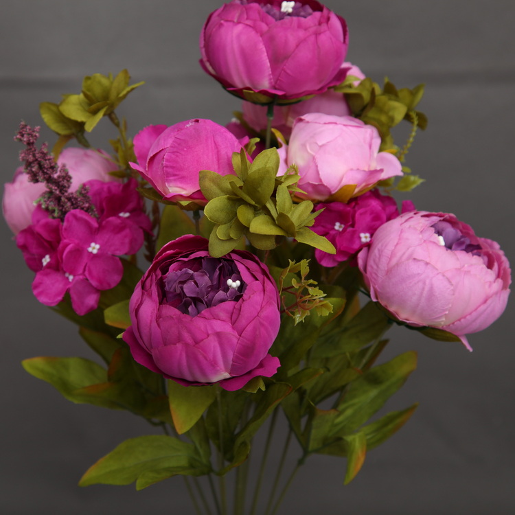Pourpre