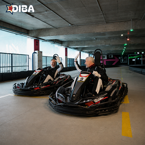 Commercial Grade Racing 200Cc 6.5Hp Disc Gasolina for Outdoor Activity Center Holiday Resort - Product Image 2