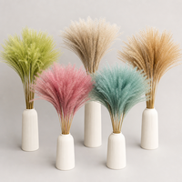 UKIQUEEN Herbe de la Pampa miniature stabilisée, petites fleurs de roseau pour arrangements de mariage bohème, décoration de vase à domicile et artisanat