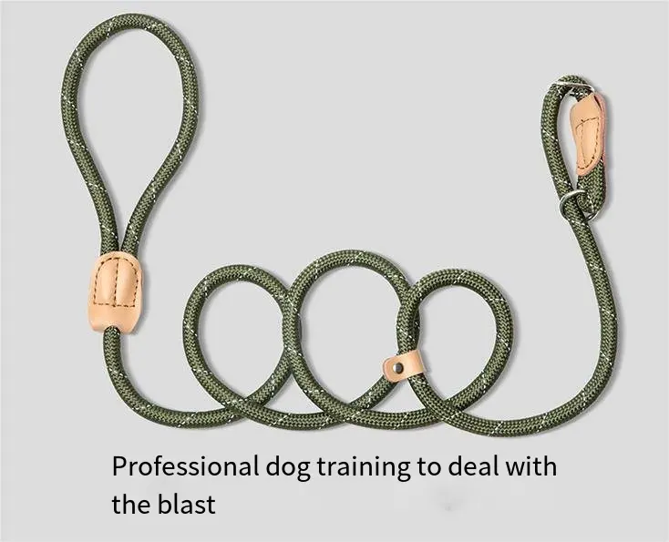 Correa de nylon para perros, cadena P para entrenamiento, arnés ajustable para perros, Correa personalizada para mascotas
