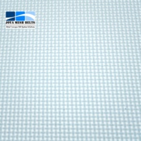 Courroie de séchage en maille de polyester antistatique pour le séchage à basse température du bois, de la biomasse et des granulés