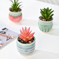 Mini-jardins de succulentes artificielles pour bureau, maison ou mariage, pots de fleurs en céramique avec succulentes artificielles