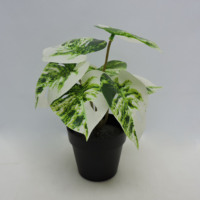 Plante Artificielle Moderne en Pot, Végétation Artificielle en Plastique Vert, Écologique, Durable, Toucher Naturel Réaliste, Marque BESCO