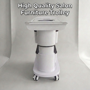 Chariot de Salon Multifonctionnel pour Outils de Beauté, Coiffure, SPA et Manucure avec Rangement - Product Image 3