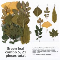 Bunga Kering Asli Daun Bunga Kering untuk Pembuatan Perhiasan Resin Kerajinan Scrapbooking DIY Pembuatan Sabun Lilin Dekorasi Kuku