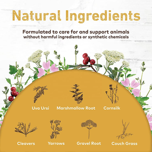 Suplemento líquido herbario orgánico para alivio urinario y <span class=keywords><strong>renal</strong></span> - Product Image 2