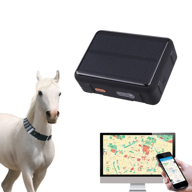 Big Animal vacas cavalo standby 9000mah impermeável colar movido a energia solar satélite celular rastreador on-line GPS