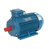 Moteur asynchrone triphasé de grande puissance 160 kW pour les laminoirs d'acier et les machines de découpe industrielles lourdes